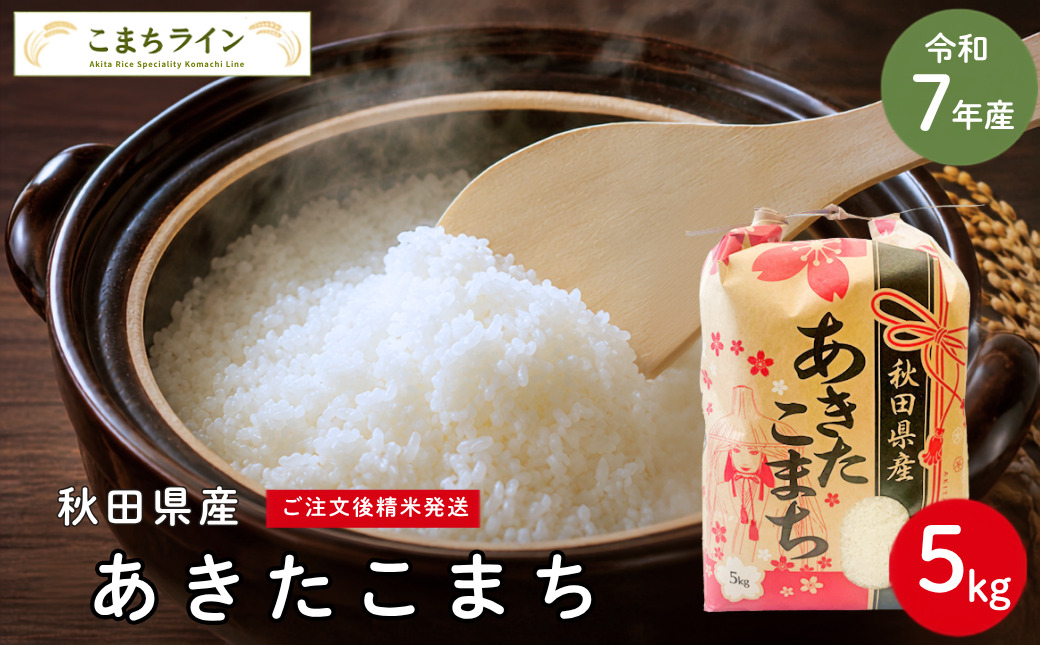 令和7年産 あきたこまち 白米 5kg 秋田県産 米 一等米 ブランド米 5キロ 精米 精米したて 一人暮らし 秋田 能代 能代市 送料無料 [こまちライン]