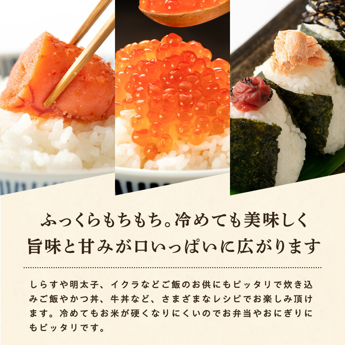 令和7年産 あきたこまち 無洗米 5kg 秋田県産 米 一等米 ブランド米 5キロ 精米 精米したて 一人暮らし 秋田 能代 能代市 送料無料 《こまちライン》