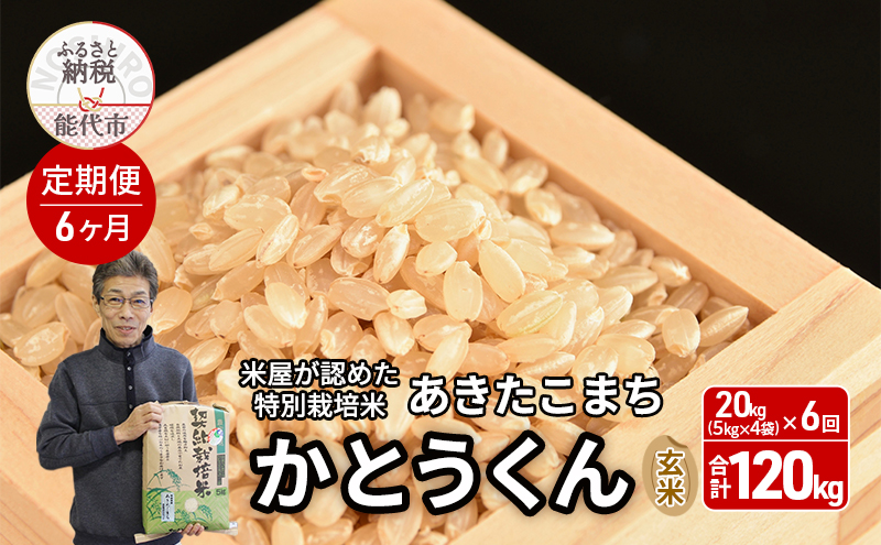 《定期便6ヶ月》【令和7年産 新米】【玄米】特別栽培米 秋田県産 あきたこまち 米屋が認めたお米 「かとうくん」20kg（5kg×4袋）×6回 合計120kg