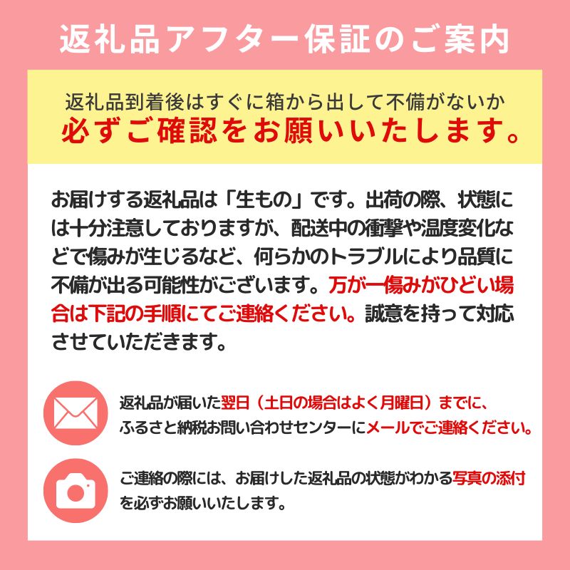 【数量・期間限定】幻の梨 「かほり梨」 5kg 秋田県能代市産