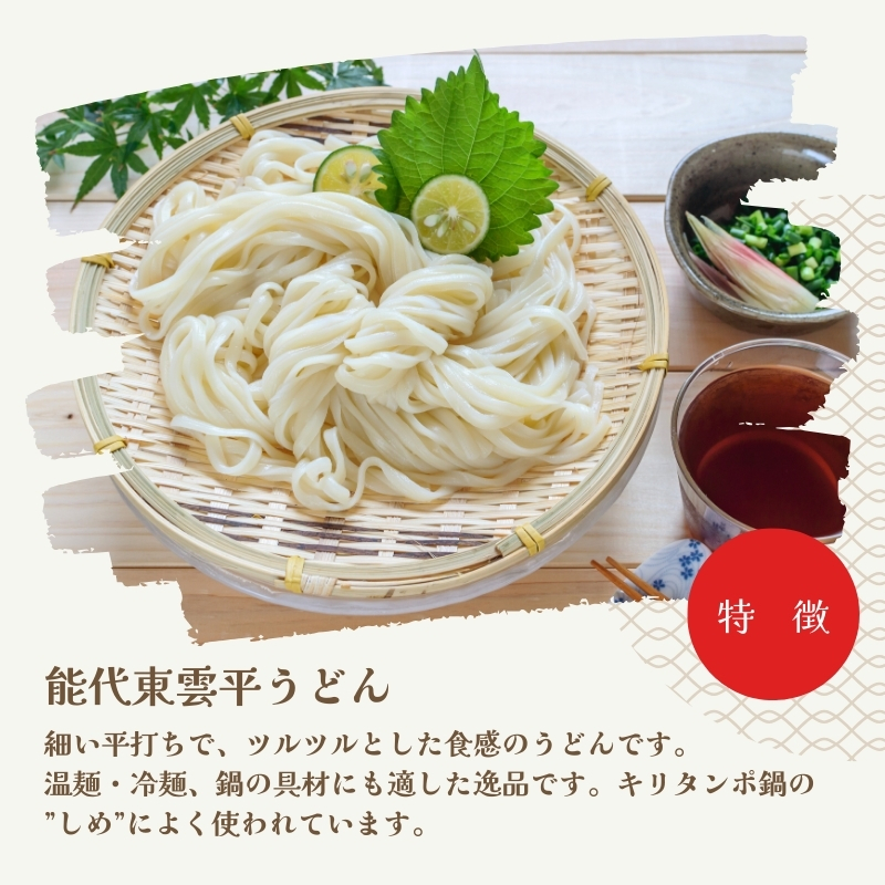 うどん 能代東雲平うどん 240g(約3人前)×4束 麺 乾麺 鍋 冷たい 温かい ざるうどん 鍋の締め