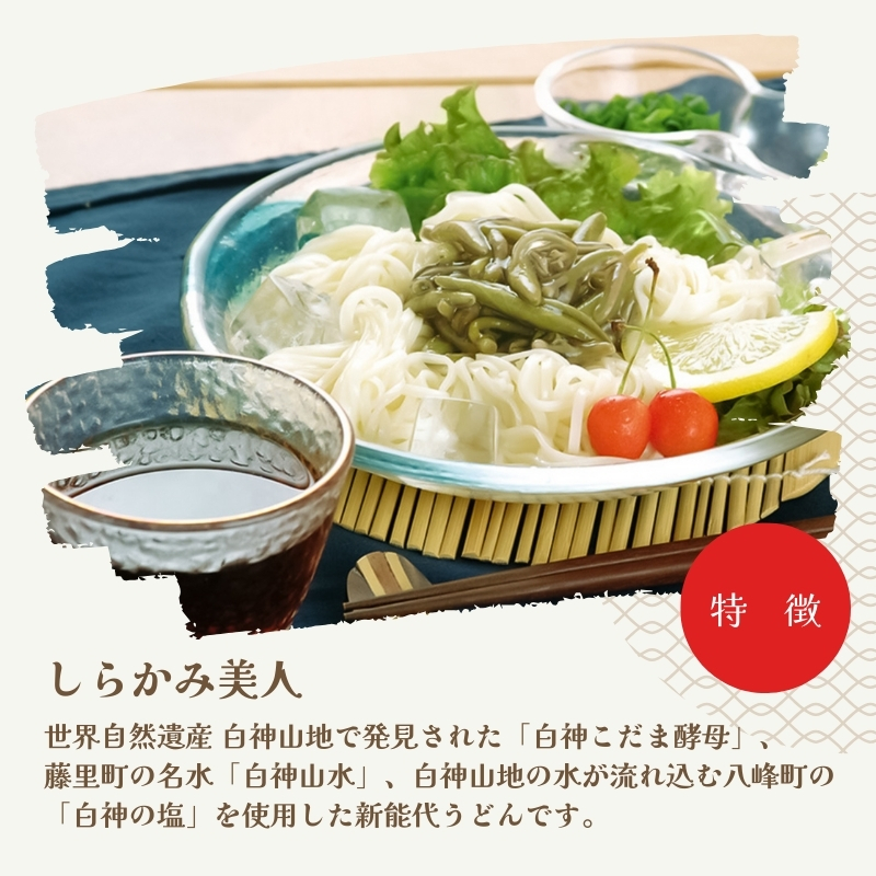 食べ比べ しらかみ美人 140g(約2人前)×4束 能代うどんパスタ ノシロチーネ 200g(約2人前)×4束 乾麺 和風 フィットチーネ 平打ち麺 鍋 冷たい 温かい ざるうどん 鍋の締め