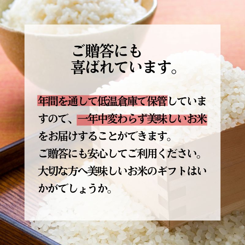 《定期便2ヶ月》 新米 白米 特別栽培米 秋田県産 あきたこまち 米屋が認めたお米 「かとうくん」5kg×2回 合計10kg