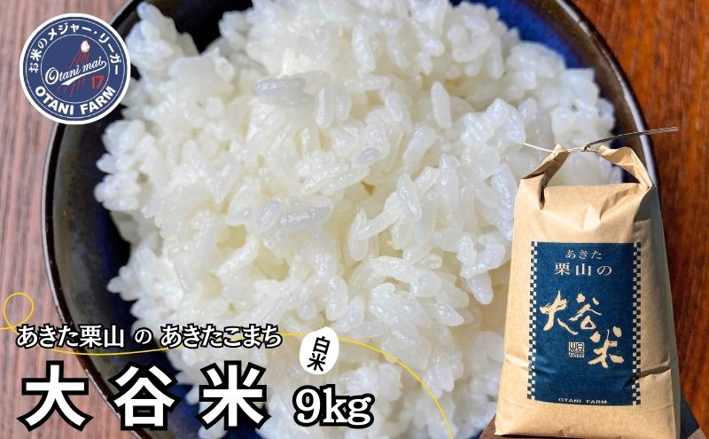 米 あきたこまち 9kg 令和6年産 あきた栗山 大谷米 白米 精米 こめ お米 おこめ 令和6年 単一原料米 ごはん 秋田こまち 秋田 秋田県 能代市