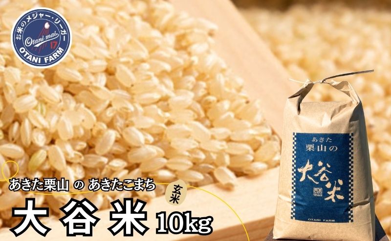 玄米 あきたこまち 10kg 令和6年産 あきた栗山 大谷米 米 こめ お米 おこめ 令和6年 単一原料米 ごはん 秋田こまち 秋田 秋田県 能代市