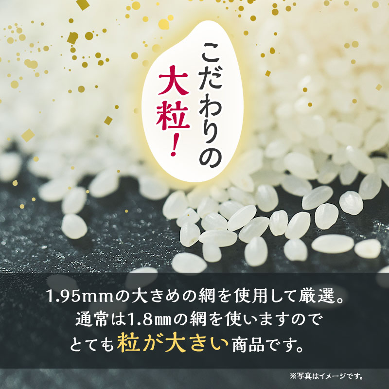 新米 米 お米 【玄米】秋田県産 あきたこまち あきた種梅産こまち 杜の雫 こだわりの大粒 5kg