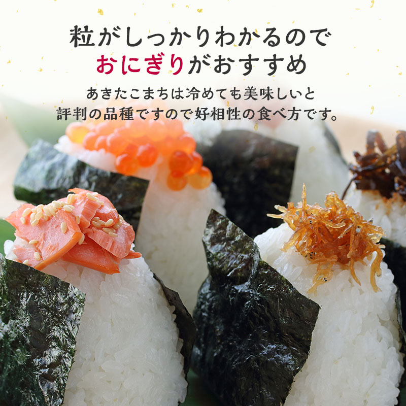 令和7年産 米 お米 《定期便6ヶ月》【無洗米】秋田県産 あきたこまち あきた種梅産こまち 杜の雫 こだわりの大粒 4.5kg×6回 合計27kg