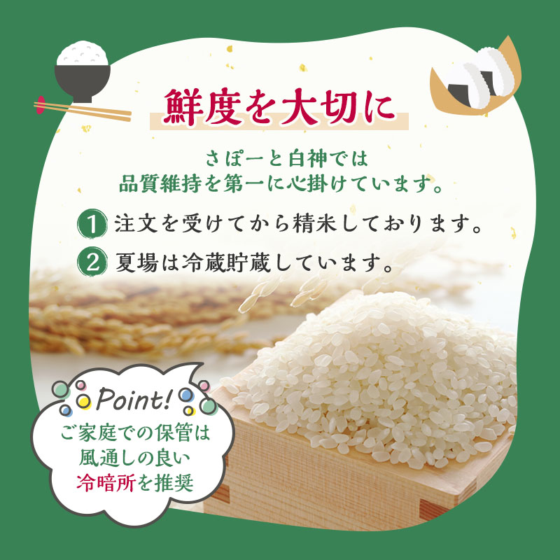令和7年産 米 お米 《定期便6ヶ月》【無洗米】秋田県産 あきたこまち あきた種梅産こまち 杜の雫 こだわりの大粒 4.5kg×6回 合計27kg