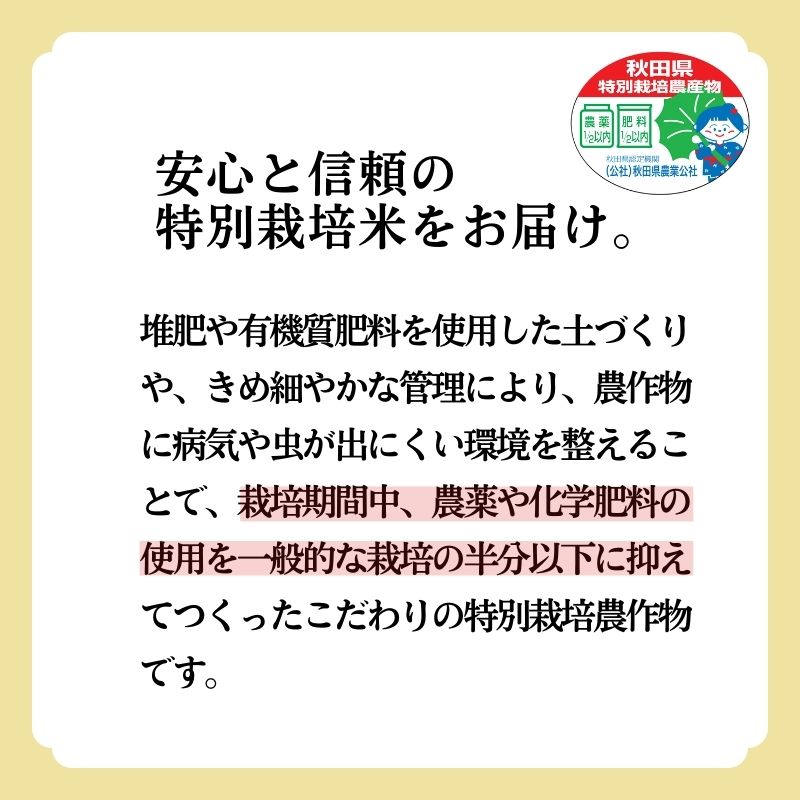 新米 米 お米 【玄米】特別栽培米 あきたこまち 20kg（5kg×4袋） 秋田県産 令和6年産