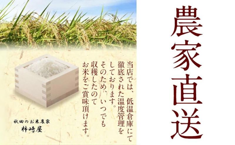 【玄米】秋田県産 ミルキープリンセス 10kg お米専門農家だからできる こだわりの産地直送米 令和6年産