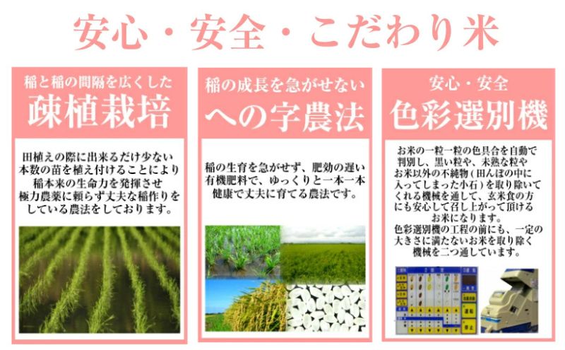 【白米】秋田県産 あきたこまち 10kg お米専門農家だからできる こだわりの産地直送米 令和6年産