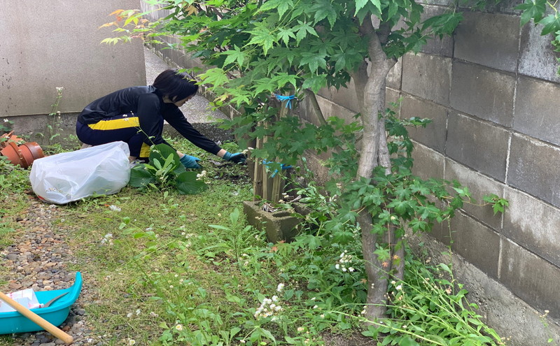 秋田県 能代市 空き家管理 空き地管理 故郷の空き家の庭や空き地の雑草の草刈りをします 対象地域：能代市