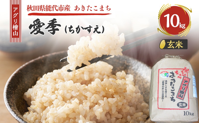 令和7年産 新米 アグリ檜山米 愛季(ちかすえ) 玄米 10kg  あきたこまち  お米 おこめ こめ コメ ごはん ご飯 大粒 令和7年  秋田 秋田県 能代市