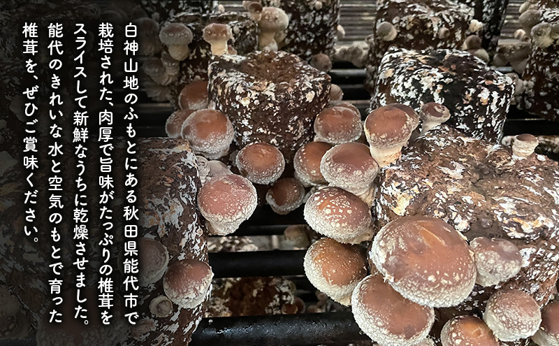 乾燥シイタケスライス 25g×3袋 秋田県産 しいたけ 椎茸 出汁 だし 乾物 