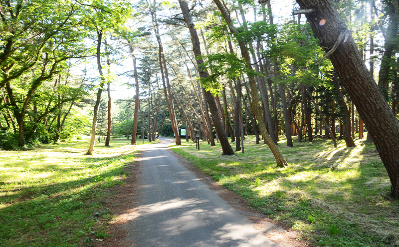 【返礼品なし】秋田県能代市への寄付 応援 支援 寄附のみ 20,000円【能代市ふるさと納税】