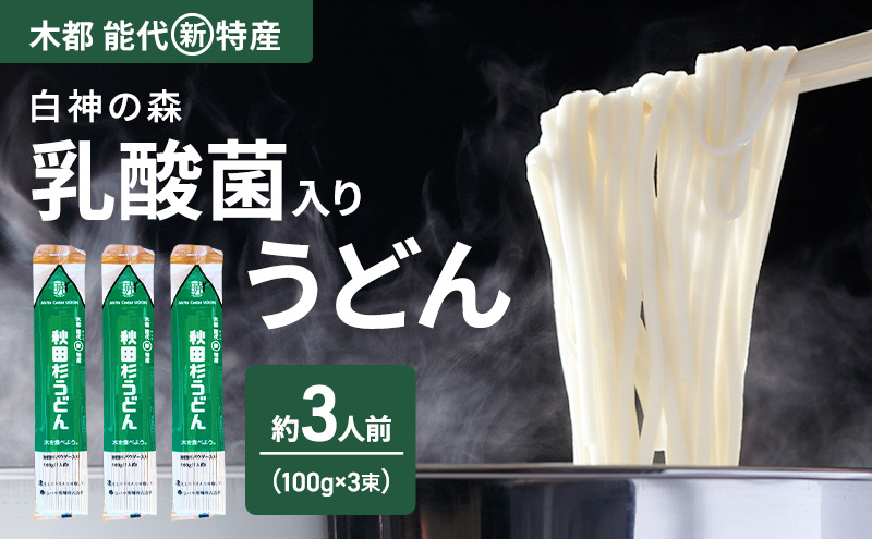 うどん 秋田杉うどん 100g（約1人前）×3束 麺 乾麺 鍋 冷たい 温かい ざるうどん 鍋の締め 杉 スギ 木
