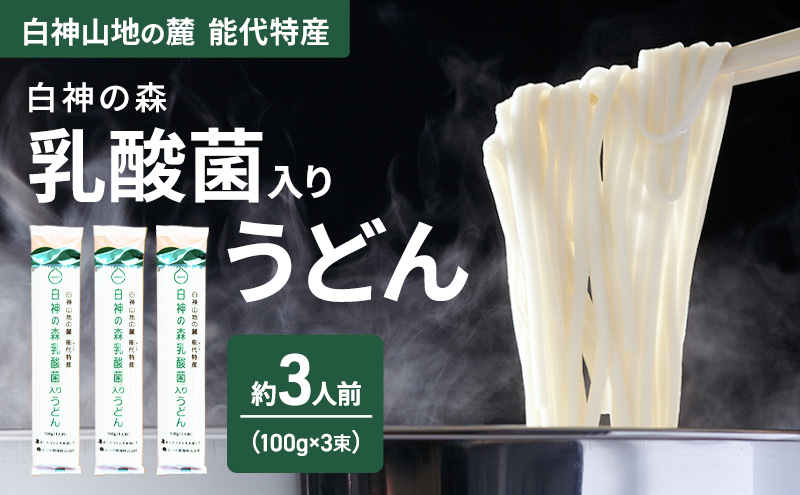 うどん 白神の森乳酸菌入りうどん 100g（約1人前）×3束 麺 乾麺 鍋 冷たい 温かい ざるうどん 鍋の締め  腸活 乳酸菌