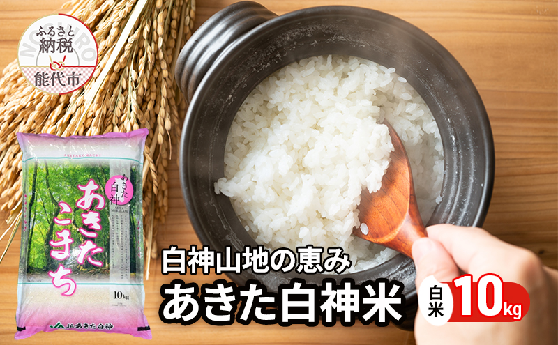 秋田県産 あきたこまち あきた白神米 10kg  令和7年産 精米 白米 お米 ご飯 ブランド米 銘柄米 おにぎり お弁当 産地直送