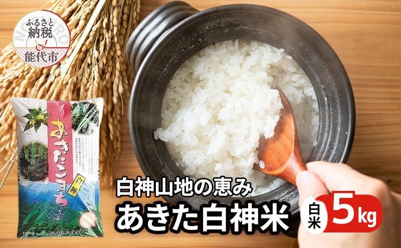 秋田県産 あきたこまち あきた白神米 5kg  令和7年産 精米 白米  お米 ご飯 ブランド米 銘柄米 おにぎり お弁当 産地直送