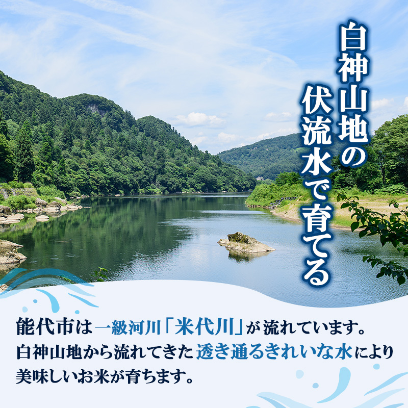 無洗米 佐藤家の米 あきたこまち 5kg 秋田県 能代市 令和7年産  お米 米 精米 ブランド米 銘柄米 おにぎり