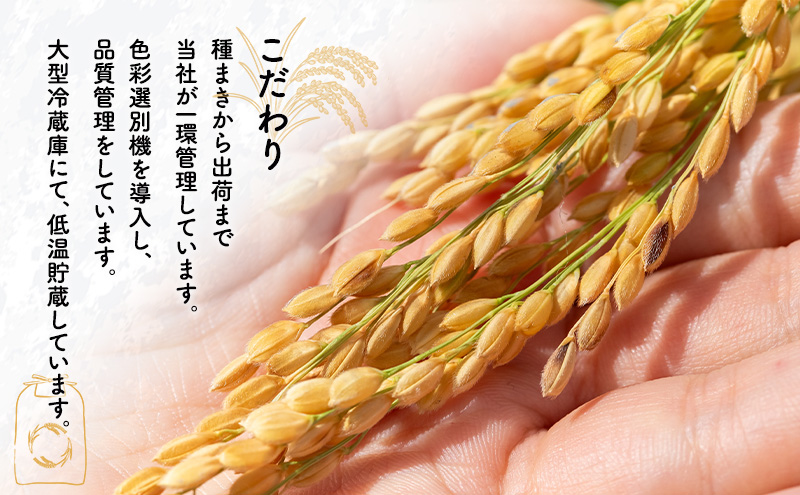 令和7年度産 3ヶ月定期便 あきたこまち 米 5kg 計15kg 精米 白米 秋田県 能代市 ブランド米 甘み 粘り