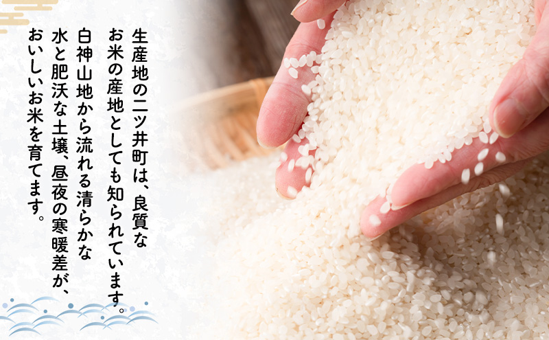 【先行予約 令和8年度産】6ヶ月定期便 あきたこまち 米 5kg  計30kg 精米 白米 秋田県 能代市 ブランド米