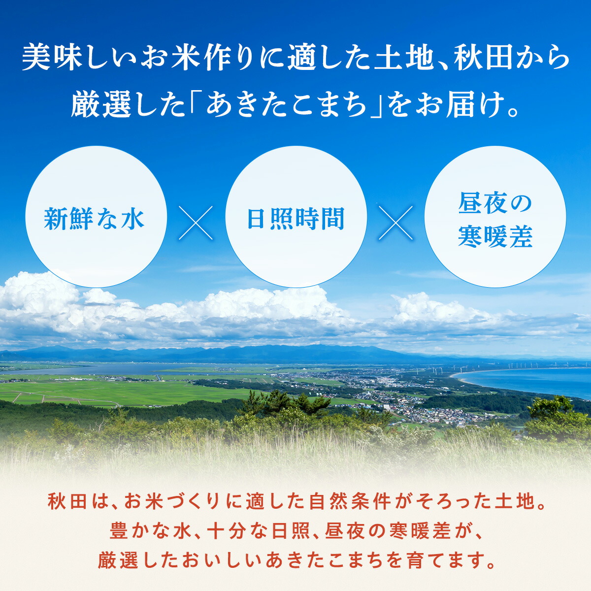 令和8年産 あきたこまち 無洗米 20kg 秋田県産 米 一等米 ブランド米 20キロ 精米 精米したて 一人暮らし 秋田 能代 能代市 送料無料 《こまちライン》