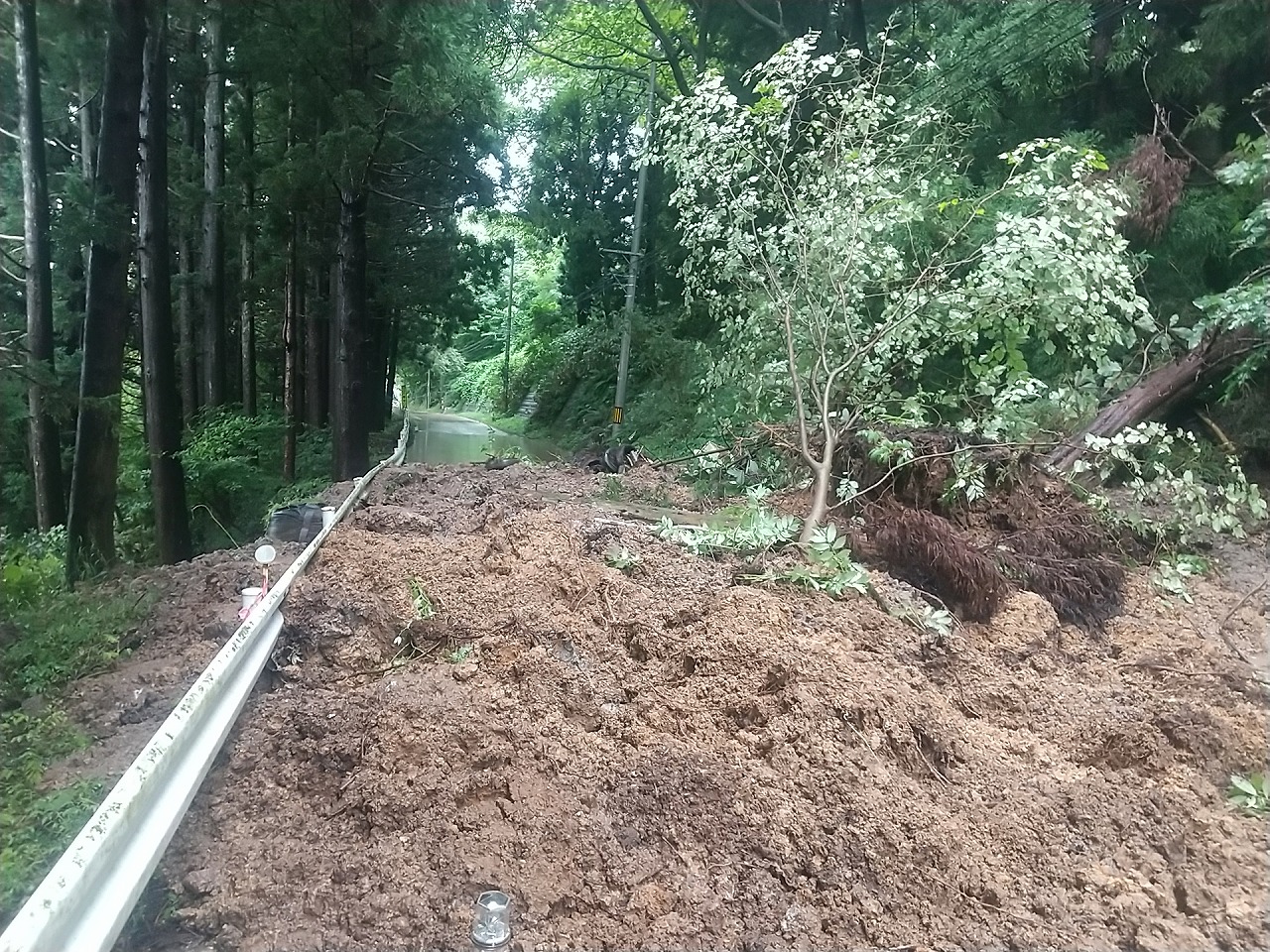 莉、蜥7蟷エ9譛郁アェ髮ィ