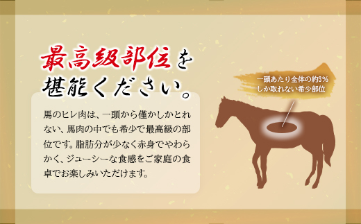 焼成済み湯せんするだけ！馬ヒレ肉のステーキ500g（100ｇ×5枚）235P2904