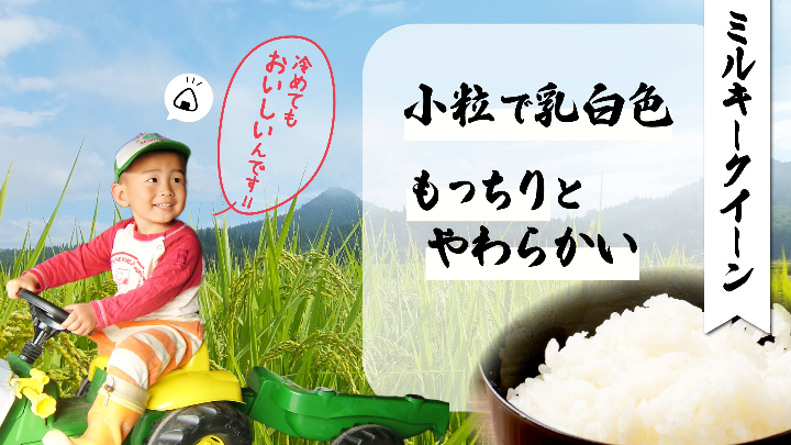 【令和6年産】ファームとのせ「ミルキークイーン 10kg (5kg×2)」　85P9001