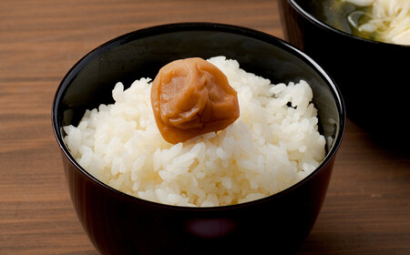 【令和7年産】秋田県特別栽培米あきたこまち「まごころ米（無洗米）」 5kg（5kg×1袋）75P9205