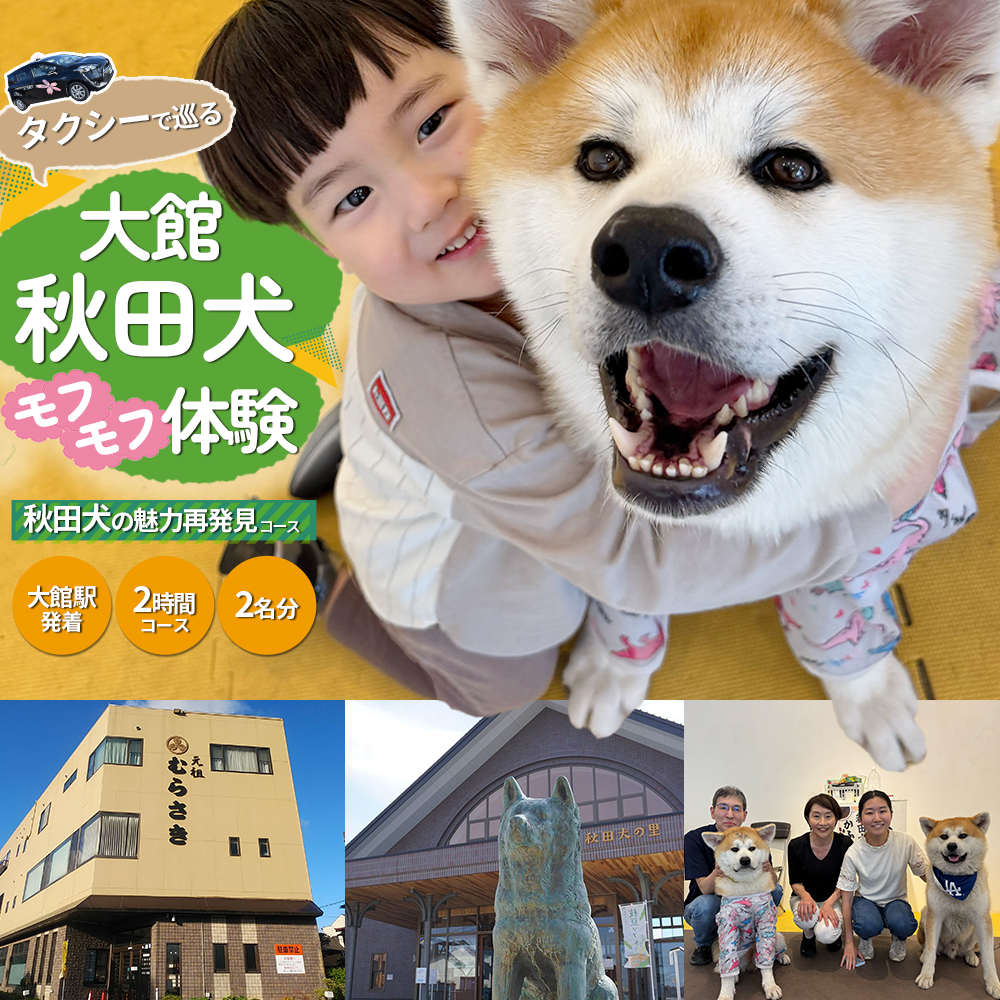 《大館駅発着》【手ぶらでOK！タクシー周遊】 ふるさとで秋田犬とモフモフな一日　大館秋田犬めぐり〈秋田犬の魅力再発見！2時間コース〉（2名分）【325P8401】
