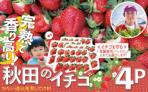 完熟で香り高い！秋田のイチゴ 4パック ＜揺りかごパック＞　 180P3401