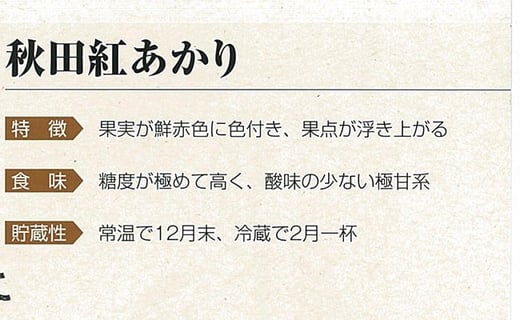 【数量限定・期間限定】65P3405　秋田限定りんご「秋田紅あかり」3kg