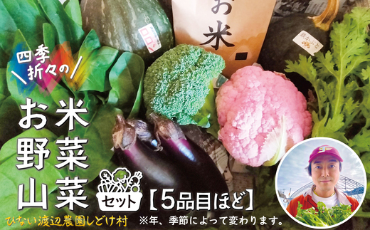 米野菜・山菜セット（5品目ほど） 115P3203