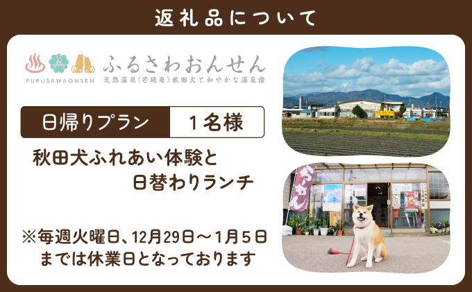 【日帰りプラン】秋田犬ふれあい体験と日替わりランチ　50P8407