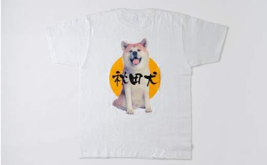 60P5704 秋田犬Tシャツときりたんぽビスのセット