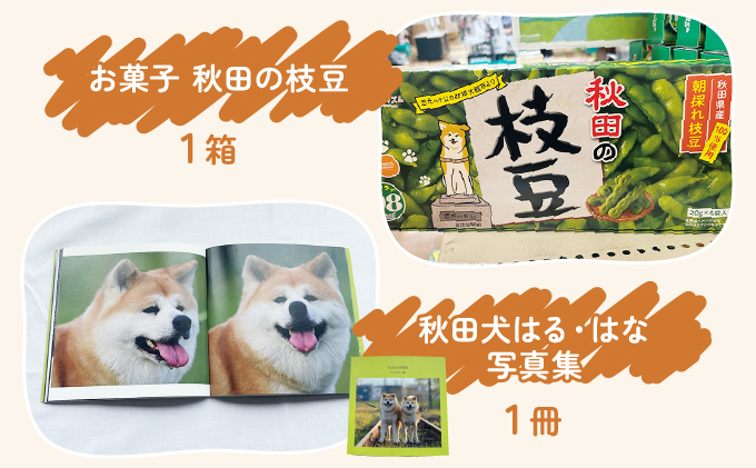 ふるさわおんせんオリジナル秋田犬はる・はなセット　175P7801