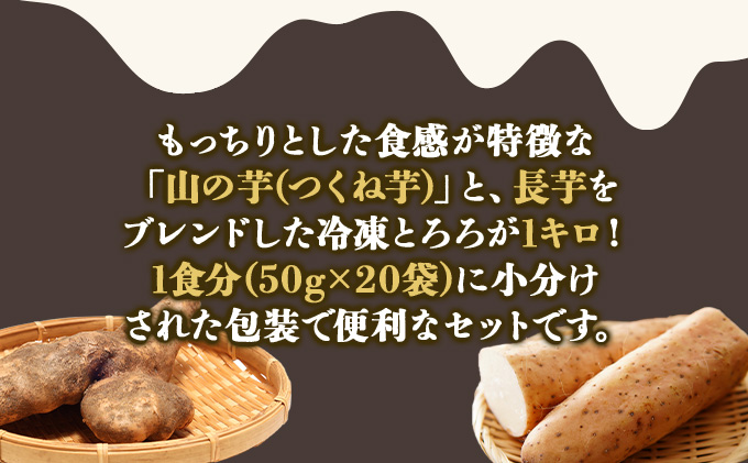 【2ヶ月定期便】冷凍とろろ1キロセット（50g×20袋）　75P3204