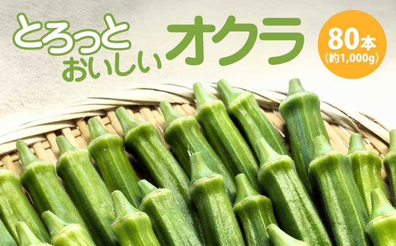 トロッとおいしいオクラ＜80本、約1000g＞　80P3206