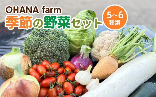 季節の野菜セット 5〜6種類　【70P3207】