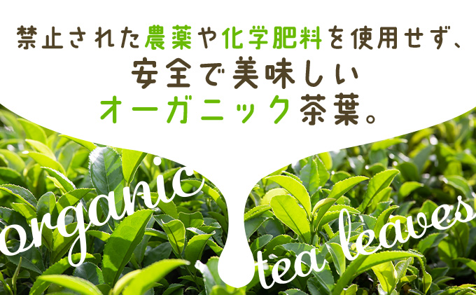 【ORGANIC TEA】No.8 オーガニック抹茶　55P5709