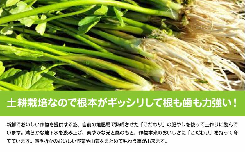 ã»ãª 匷ãéŠããšã·ã£ãããšããæ¯å¿ã çŽ2000gã600P3201