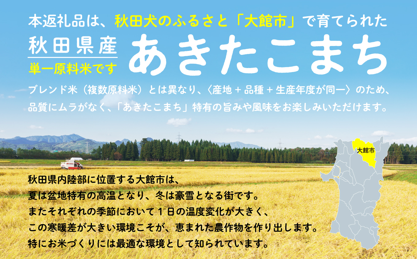 【定期便3ヶ月】令和7年産 秋田県産米「あきたこまち（白米）」 15kg（5kg×3袋）【真正ファーム】