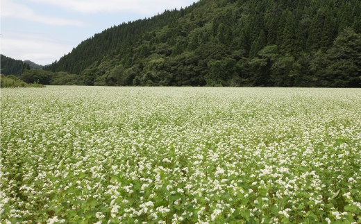 105P1505 手造りきりたんぽと中山そば年越セット（２～３人前）