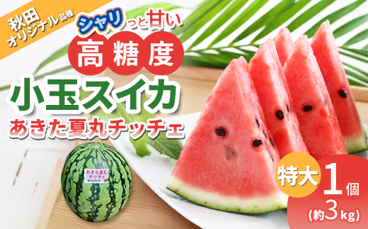 シャリっと甘い小玉スイカ！あきた夏丸チッチェ＜特大1個＞　80P3406