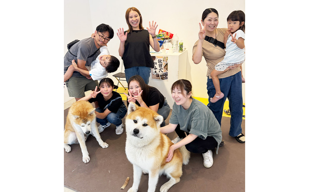 もふもふ秋田犬ふれあい体験30分 大人（中学生以上）　1名様（ふれあい10分・1ドリンク付）　【35P8401】