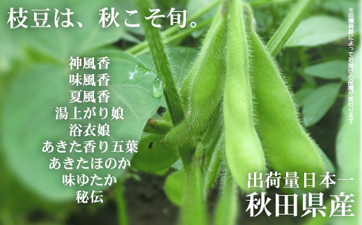 秋田県大館市産「旬の枝豆」5kg　115P3201