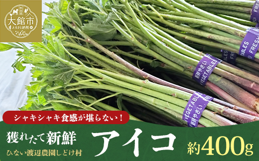 アイコ（ミヤマイラクサ） 約400g 秋田の山菜【60P3227】