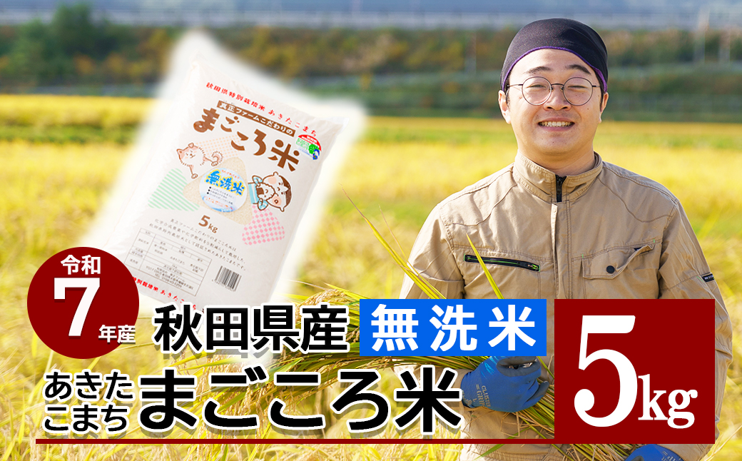【令和7年産】秋田県特別栽培米あきたこまち「まごころ米（無洗米）」 5kg（5kg×1袋）75P9205